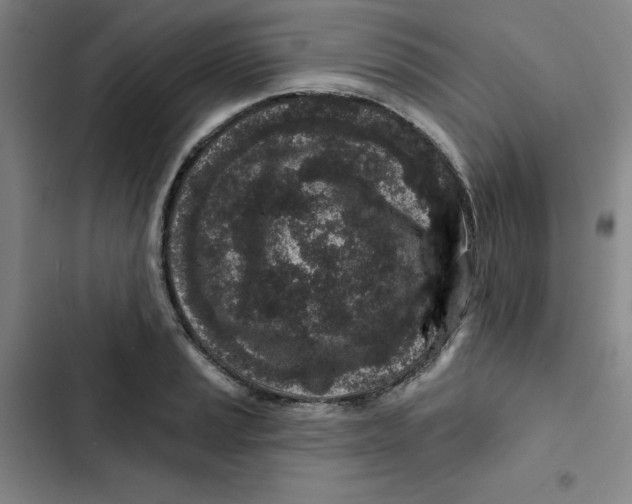 X0000102831037200809151035