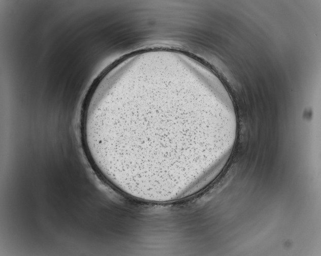 X0000102831038200809151035