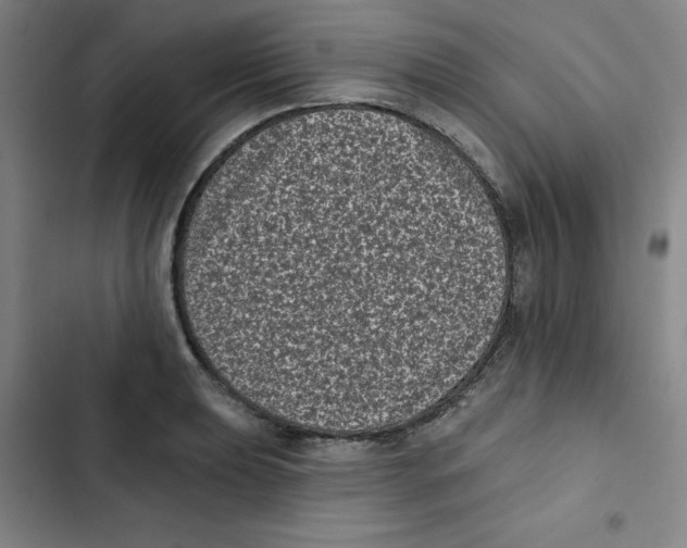 X0000102831039200809151035