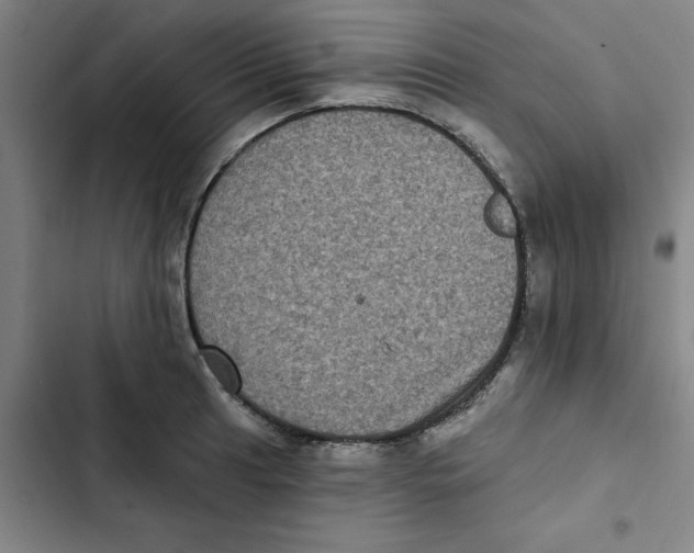 X0000102831041200809151035