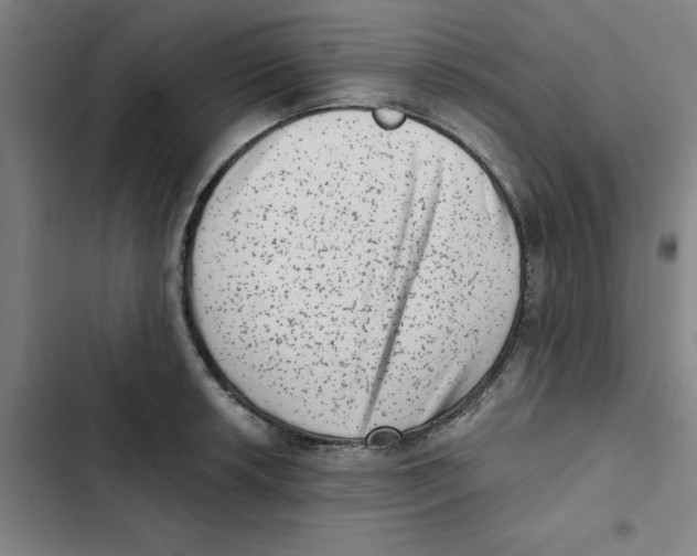 X0000102831042200809151035