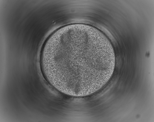 X0000102831043200809151035
