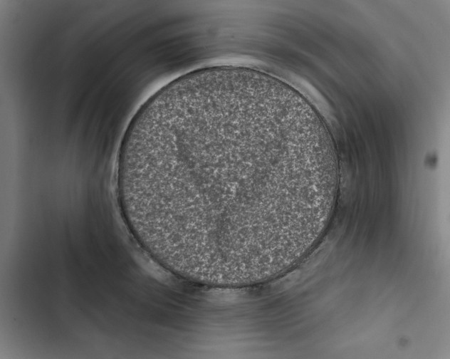 X0000102831044200809151035
