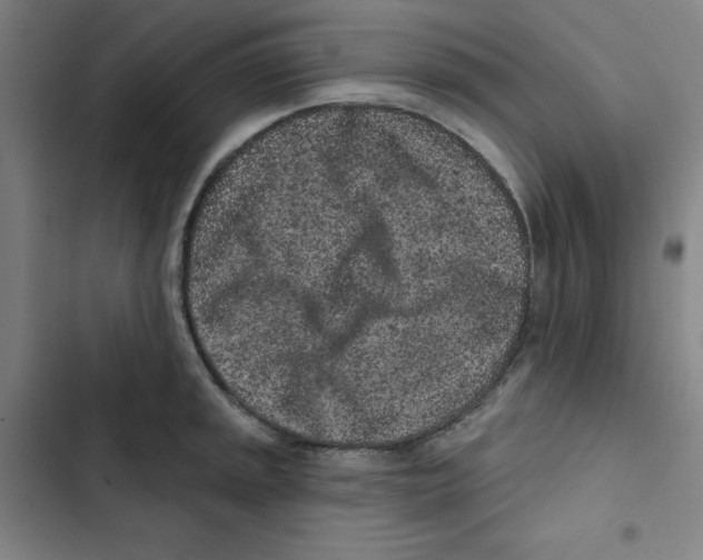 X0000102831045200809151035