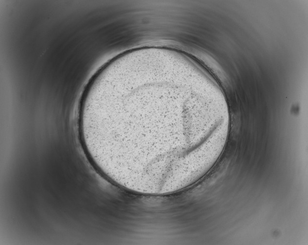 X0000102831046200809151035