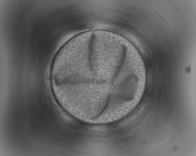 X0000102831047200809151035