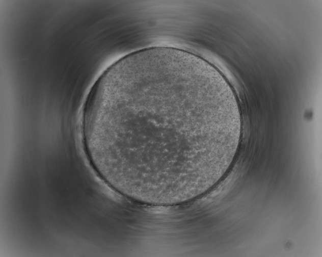 X0000102831048200809151035