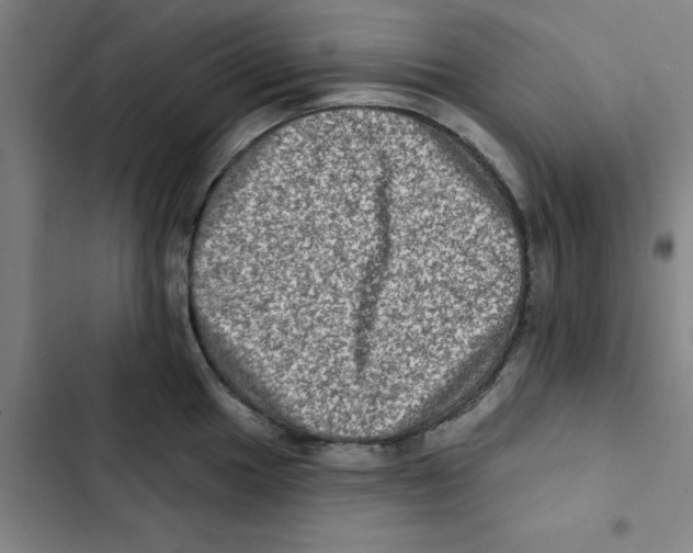X0000102831049200809151035