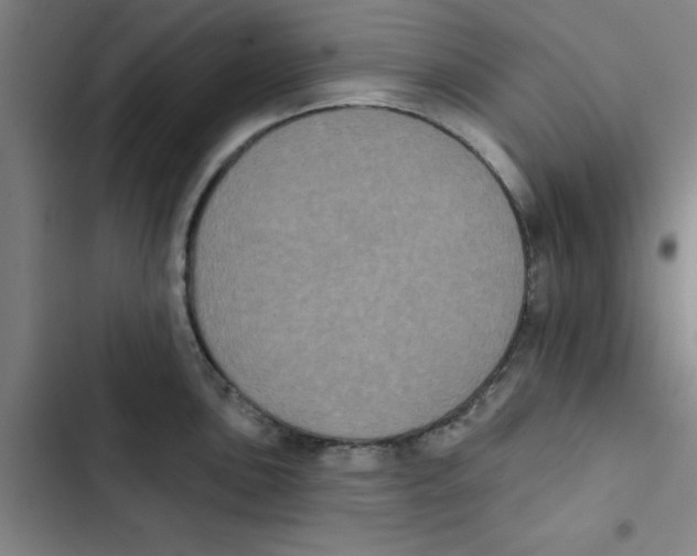 X0000102831051200809151035
