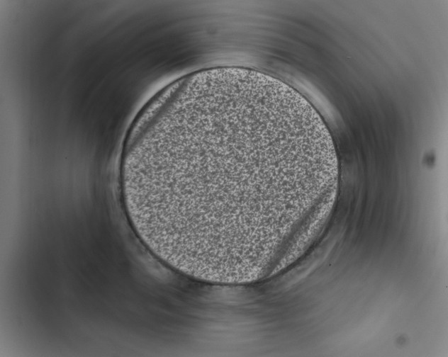 X0000102831052200809151035