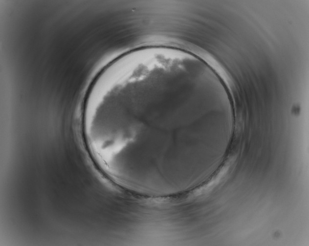 X0000102831053200809151035