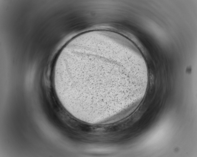 X0000102831054200809151035