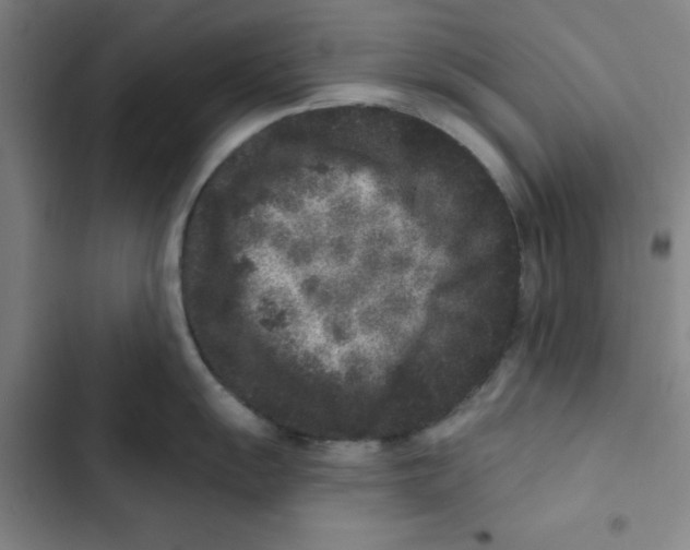 X0000102831055200809151035