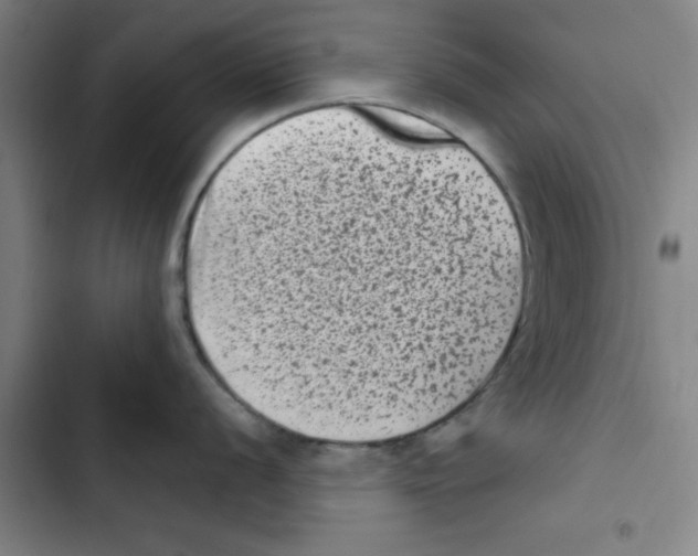 X0000102831056200809151035