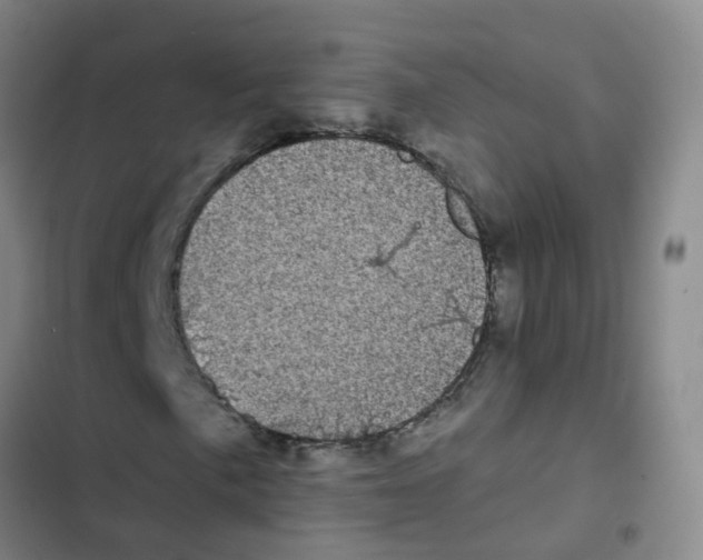 X0000102831057200809151034