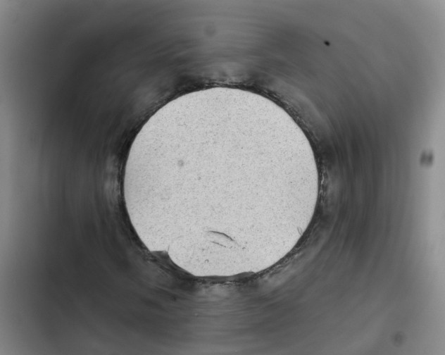 X0000102831058200809151034