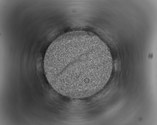 X0000102831059200809151034