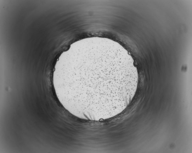 X0000102831060200809151034