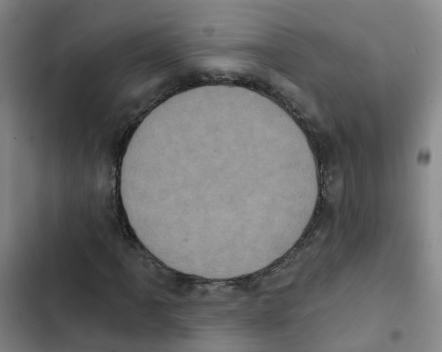 X0000102831061200809151034
