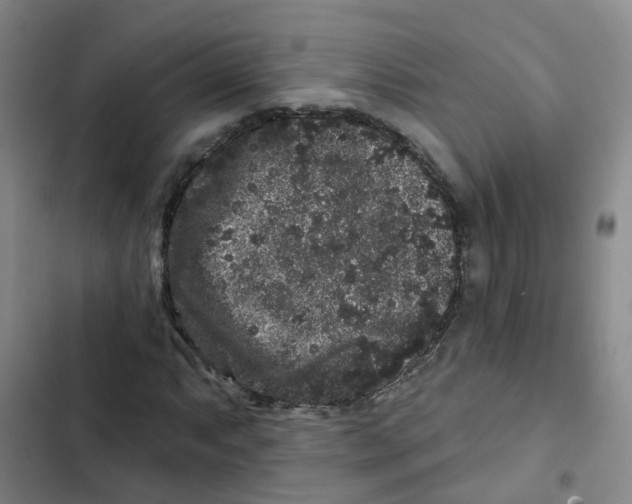 X0000102831063200809151034