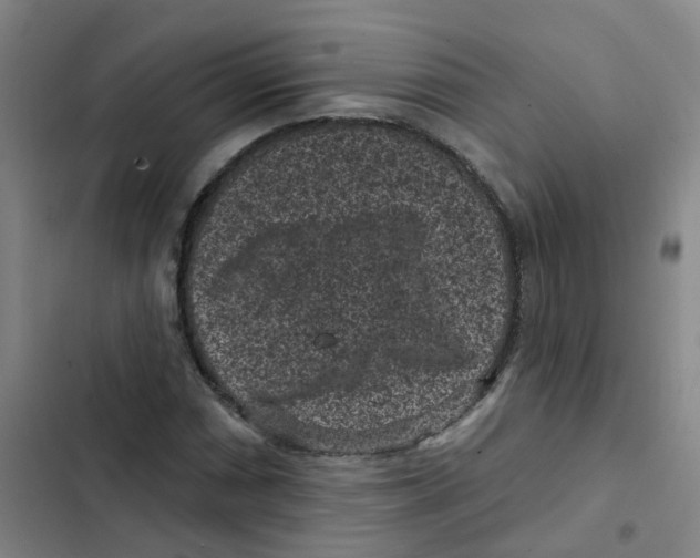 X0000102831066200809151034