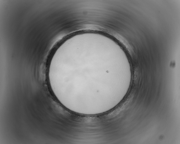 X0000102831067200809151034