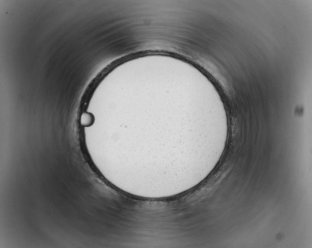 X0000102831068200809151034