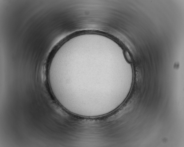 X0000102831069200809151034