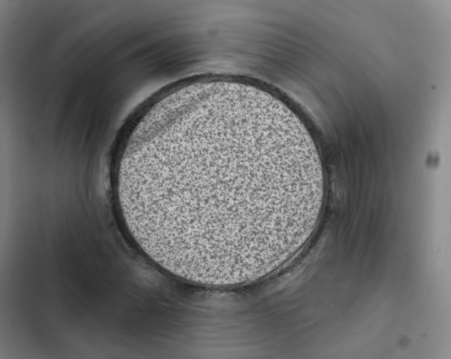 X0000102831070200809151034