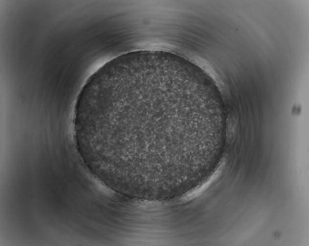 X0000102831071200809151034
