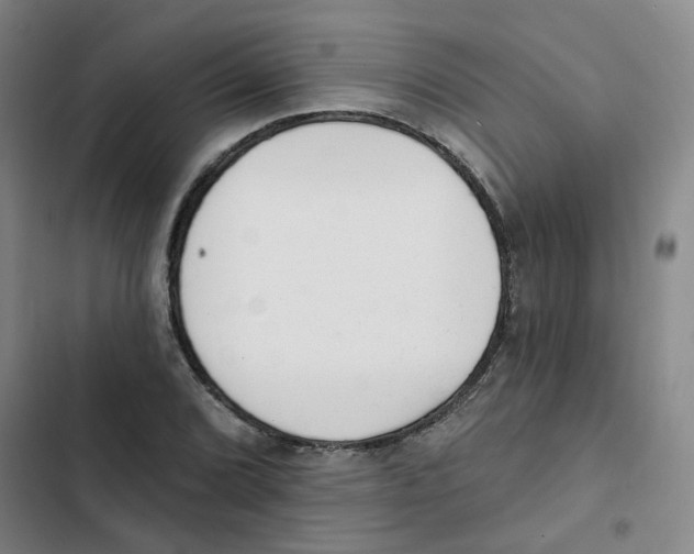 X0000102831072200809151034