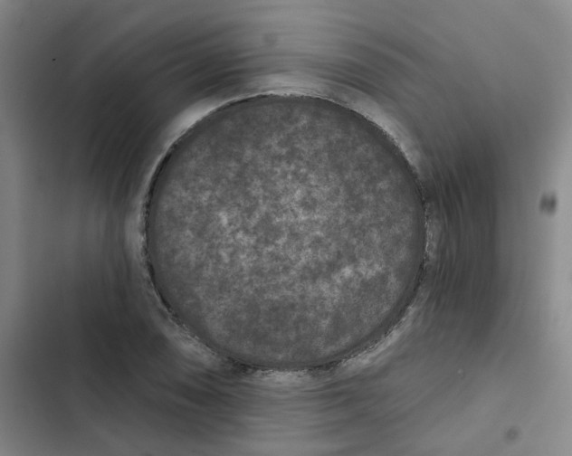 X0000102831074200809151034