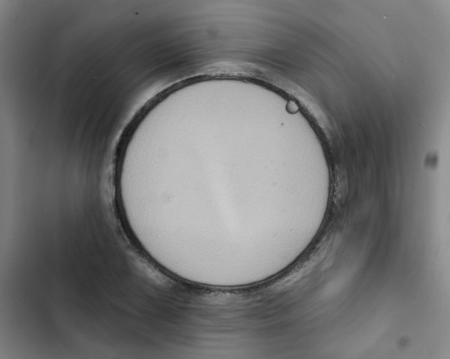 X0000102831075200809151034