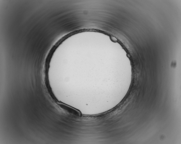X0000102831076200809151034