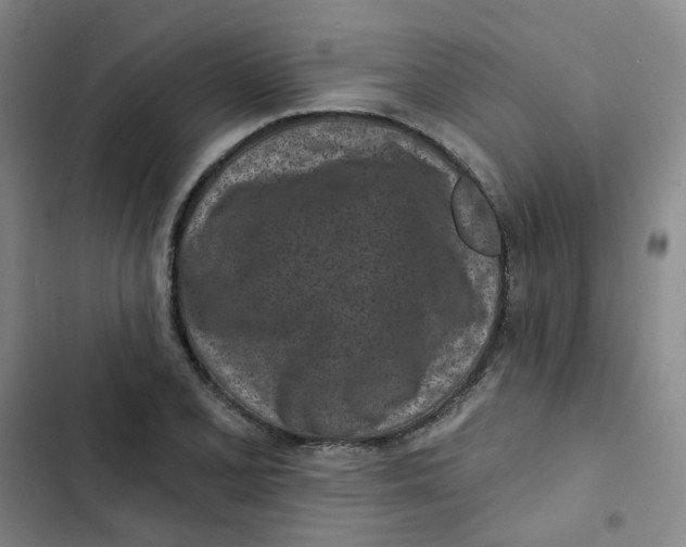 X0000102831077200809151034