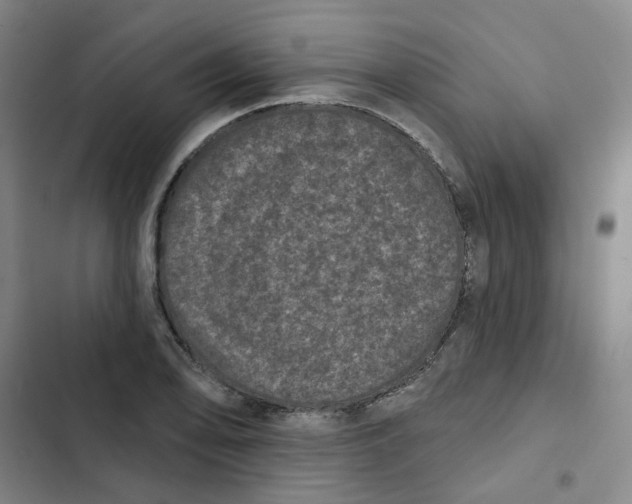 X0000102831078200809151034