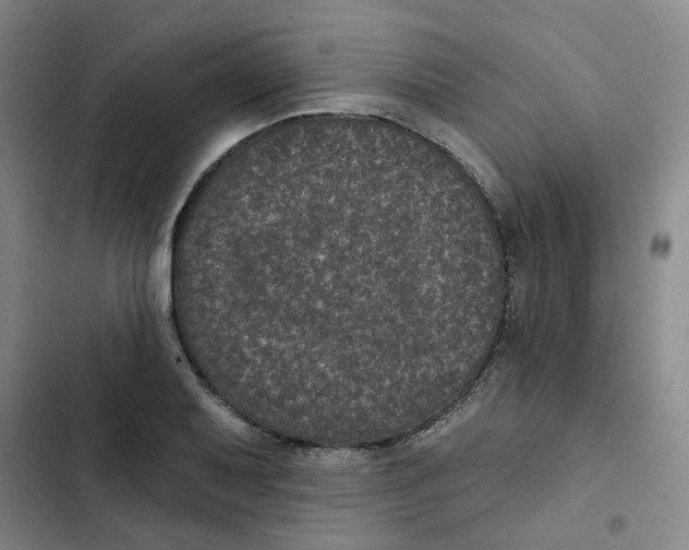 X0000102831079200809151034
