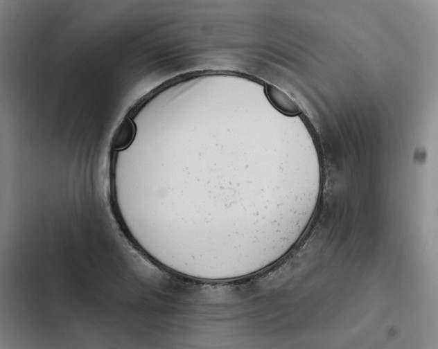 X0000102831080200809151034