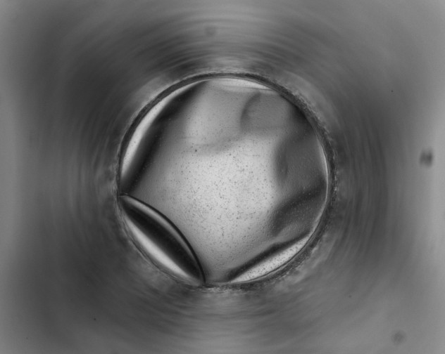 X0000102831081200809151034