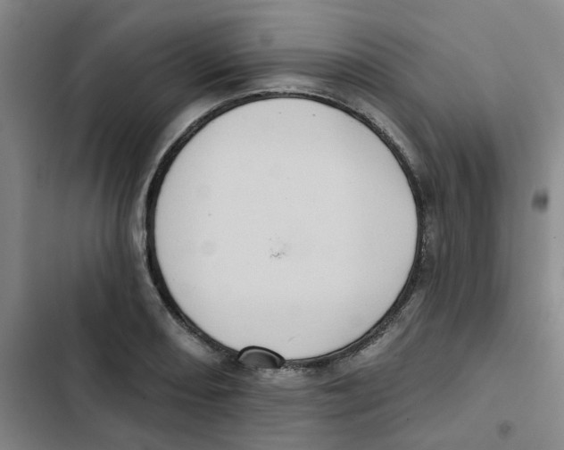X0000102831082200809151034