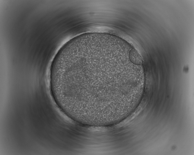 X0000102831083200809151034