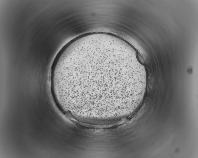 X0000102831084200809151034