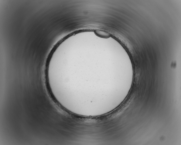 X0000102831085200809151034