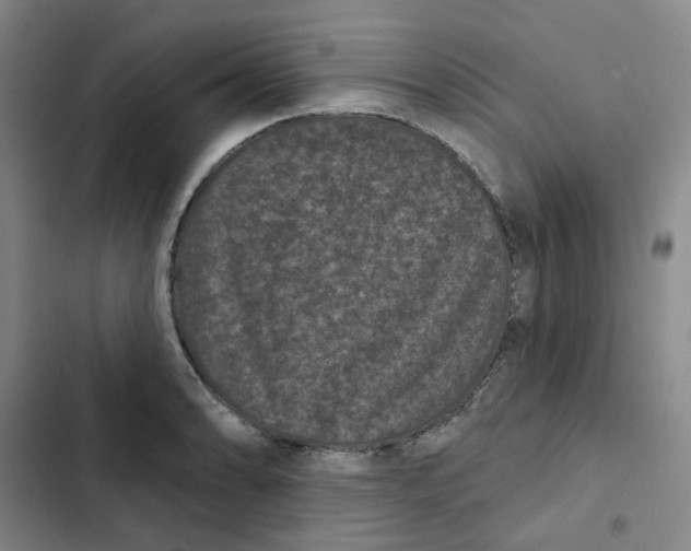 X0000102831086200809151034