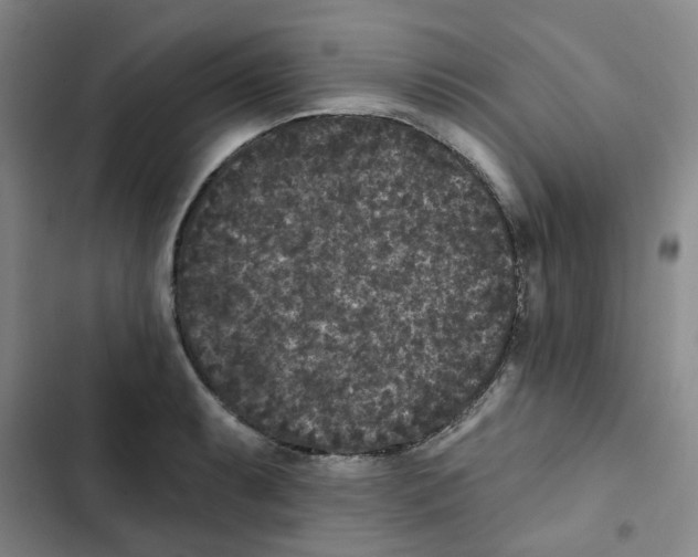 X0000102831087200809151034