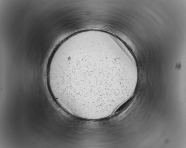 X0000102831088200809151034
