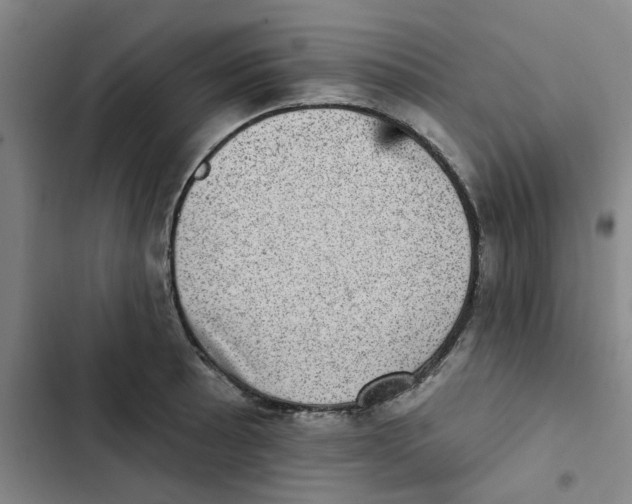 X0000102831089200809151034