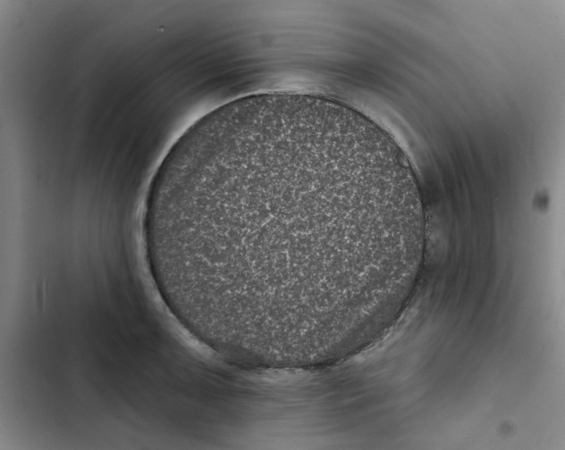 X0000102831091200809151034