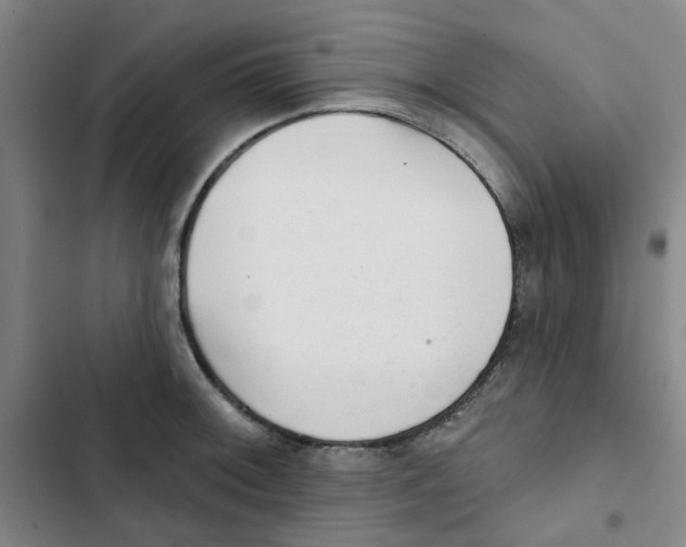 X0000102831092200809151034