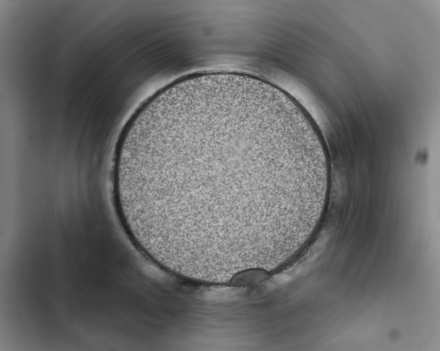 X0000102831093200809151034